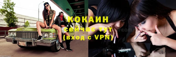 стаф Абаза