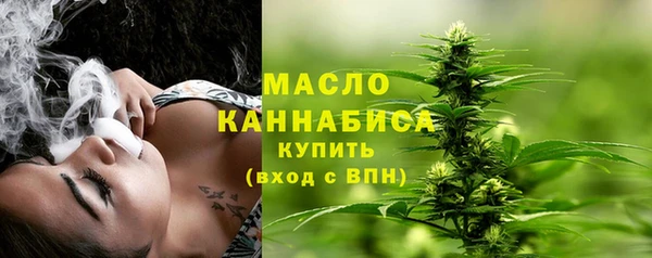 СК Алексин