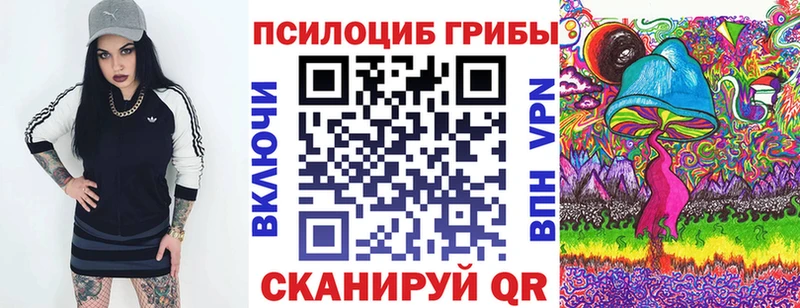 дарнет шоп  Новотитаровская  Псилоцибиновые грибы мицелий 